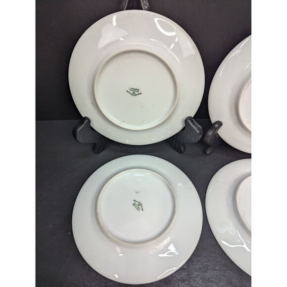 Johann Haviland Forever Spring Pattern Porcelain Dessert Plates Set of 4 - Picture 7 of 10